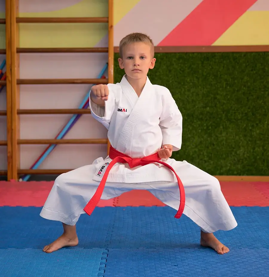 Борьба для ребенка